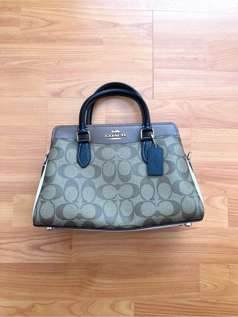 Coach Mini Darcie Caryall in Colorblock Signature Canvas